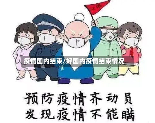 疫情国内结束/好国内疫情结束情况
