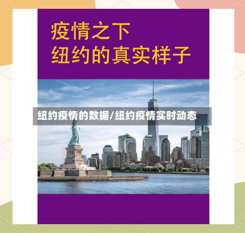 纽约疫情的数据/纽约疫情实时动态-第2张图片