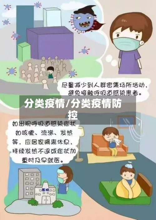 分类疫情/分类疫情防控