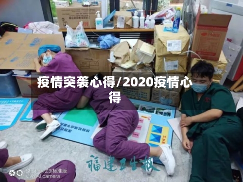 疫情突袭心得/2020疫情心得