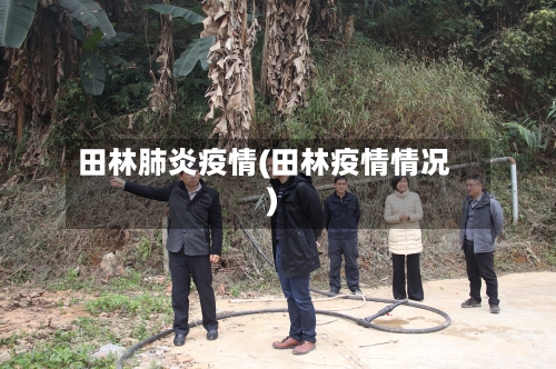 田林肺炎疫情(田林疫情情况)
