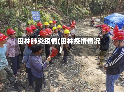 田林肺炎疫情(田林疫情情况)-第3张图片