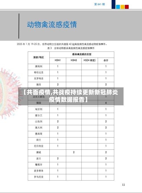 【共面疫情,共战疫持续更新新冠肺炎疫情数据报告】-第2张图片