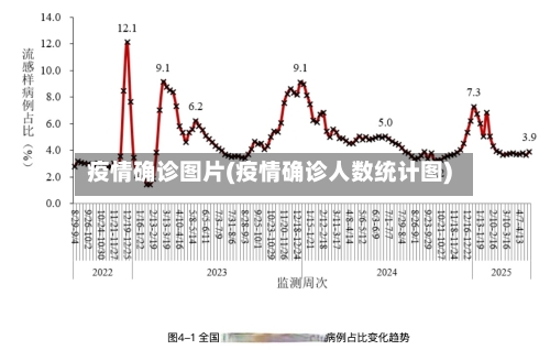 疫情确诊图片(疫情确诊人数统计图)