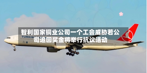 智利国家铜业公司一个工会威胁若公司追回奖金将举行抗议活动-第2张图片