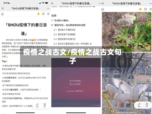 疫情之战古文/疫情之战古文句子-第3张图片