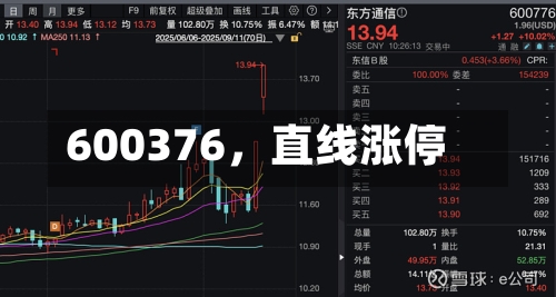 600376，直线涨停