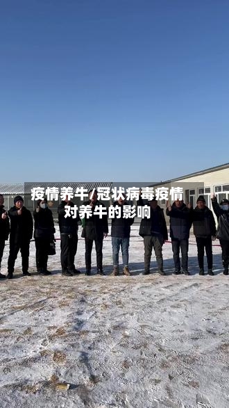 疫情养牛/冠状病毒疫情对养牛的影响