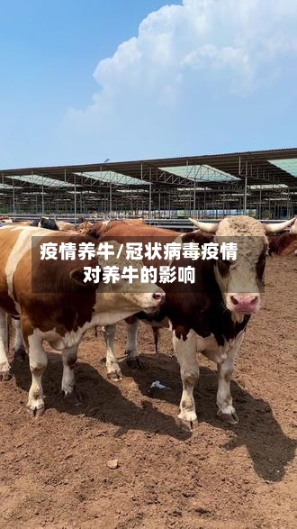 疫情养牛/冠状病毒疫情对养牛的影响-第3张图片