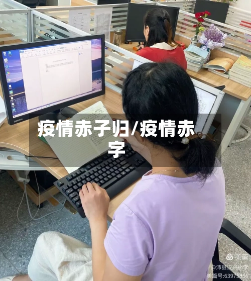疫情赤子归/疫情赤字-第2张图片