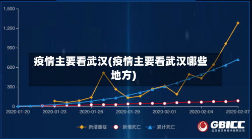 疫情主要看武汉(疫情主要看武汉哪些地方)