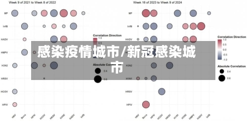 感染疫情城市/新冠感染城市-第2张图片