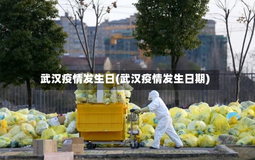 武汉疫情发生日(武汉疫情发生日期)-第3张图片
