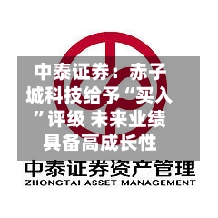 中泰证券：赤子城科技给予“买入”评级 未来业绩具备高成长性