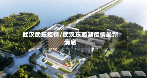 武汉武东疫情/武汉东西湖疫情最新消息