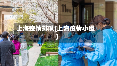 上海疫情排队(上海疫情小组)