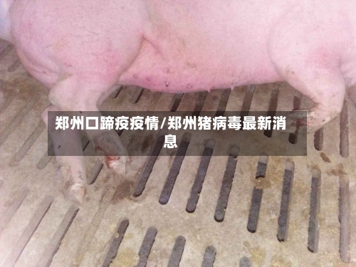 郑州口蹄疫疫情/郑州猪病毒最新消息-第3张图片
