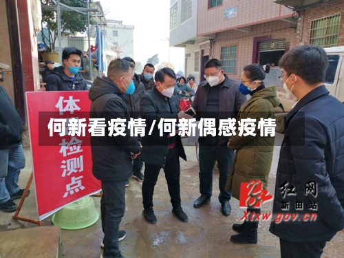何新看疫情/何新偶感疫情