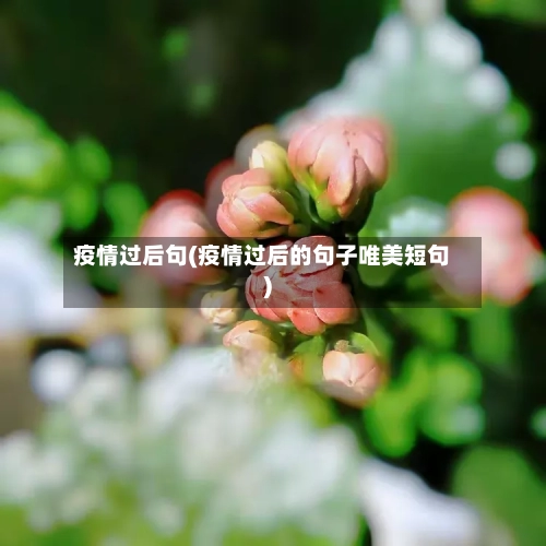 疫情过后句(疫情过后的句子唯美短句)-第3张图片