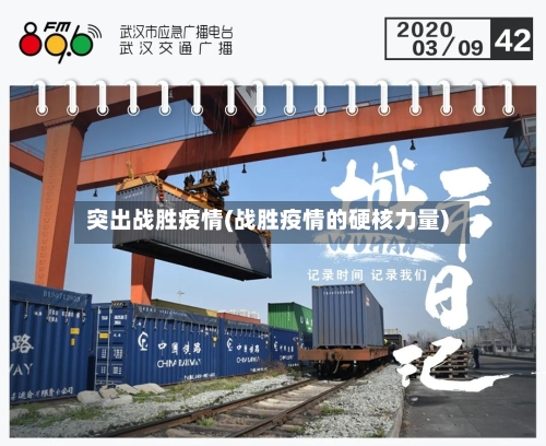 突出战胜疫情(战胜疫情的硬核力量)-第2张图片