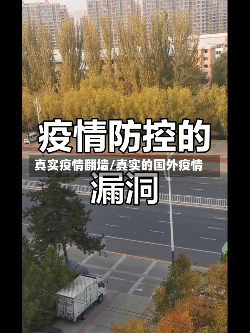 真实疫情翻墙/真实的国外疫情
