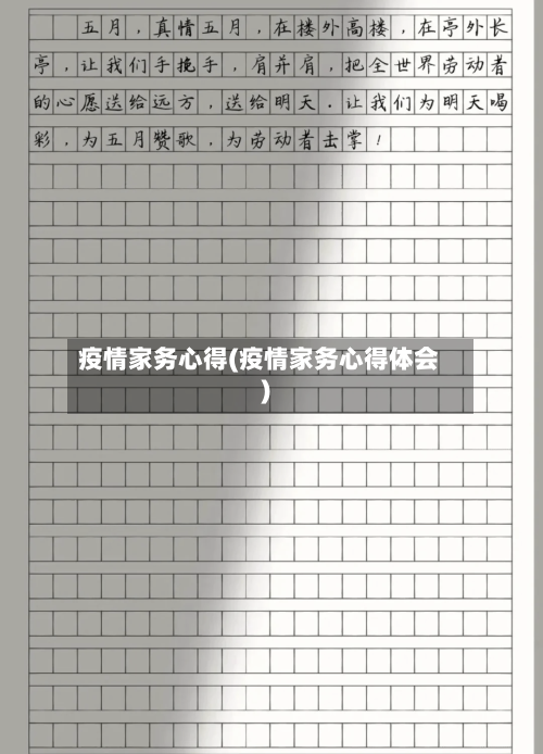 疫情家务心得(疫情家务心得体会)