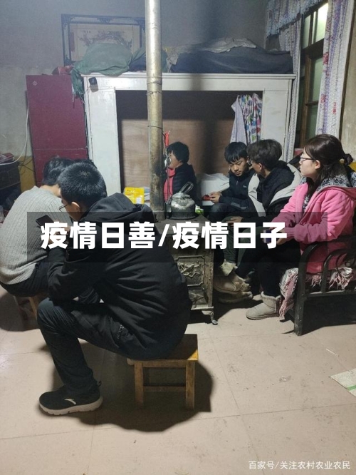 疫情日善/疫情日子-第3张图片