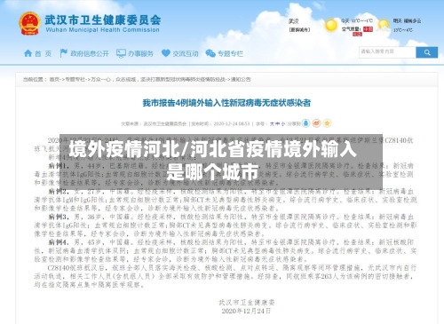 境外疫情河北/河北省疫情境外输入是哪个城市-第3张图片