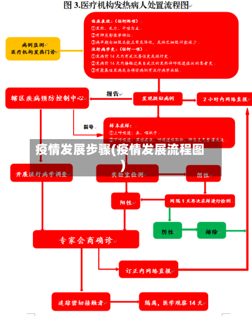 疫情发展步骤(疫情发展流程图)
