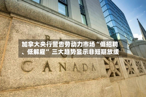 加拿大央行警告劳动力市场“低招聘	、低解雇	” 三大趋势显示非短期放缓-第3张图片