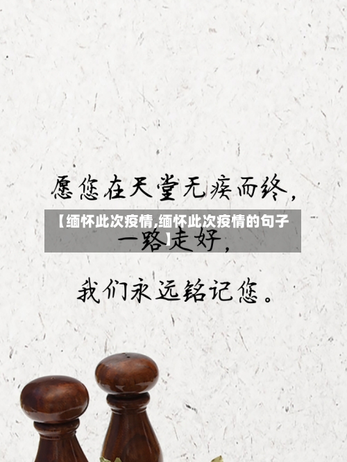 【缅怀此次疫情,缅怀此次疫情的句子】-第3张图片