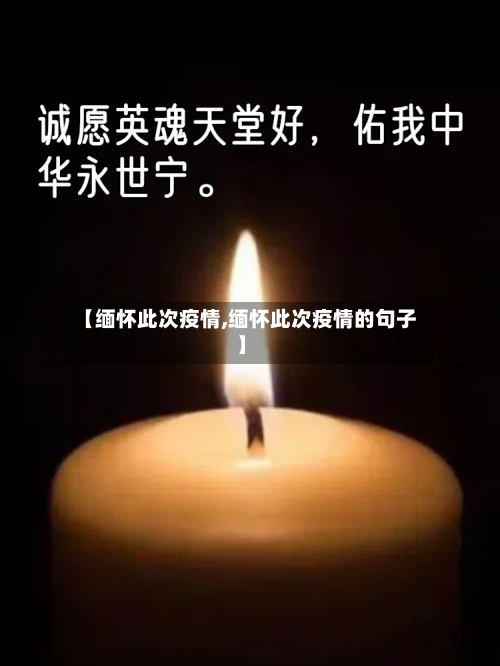 【缅怀此次疫情,缅怀此次疫情的句子】-第2张图片
