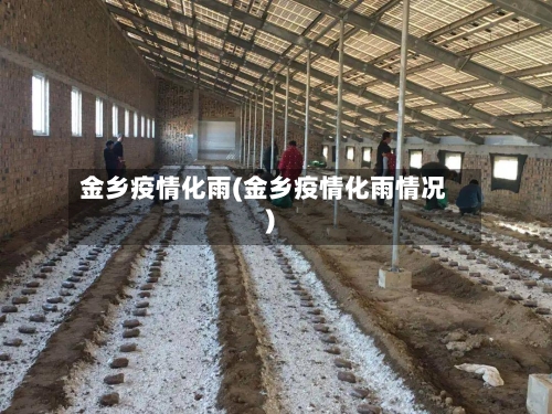 金乡疫情化雨(金乡疫情化雨情况)