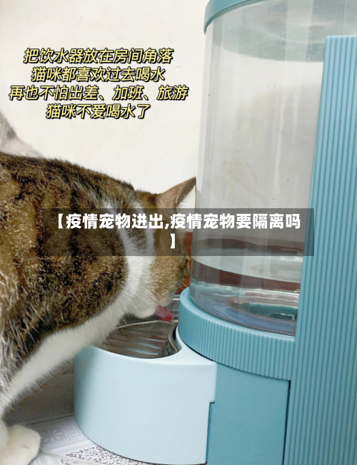 【疫情宠物进出,疫情宠物要隔离吗】