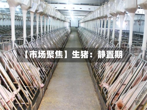 【市场聚焦】生猪：静置期