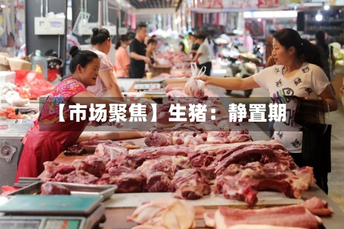 【市场聚焦】生猪：静置期-第3张图片