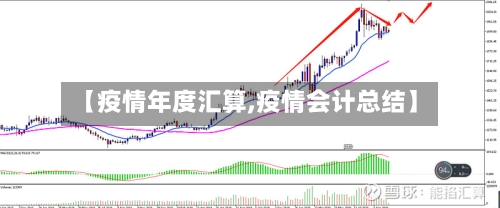 【疫情年度汇算,疫情会计总结】-第2张图片