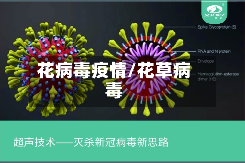 花病毒疫情/花草病毒
