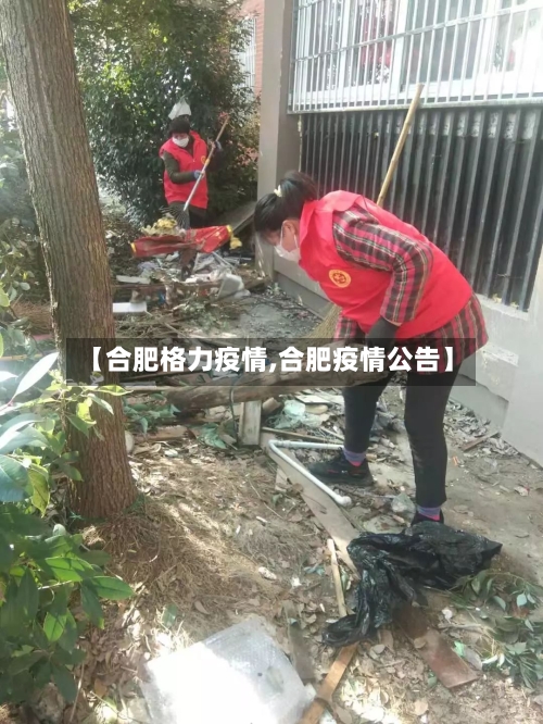 【合肥格力疫情,合肥疫情公告】