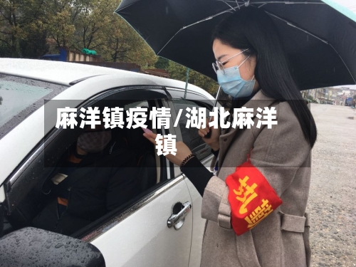 麻洋镇疫情/湖北麻洋镇