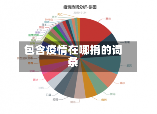 包含疫情在哪捐的词条-第3张图片