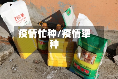 疫情忙种/疫情犟种-第2张图片