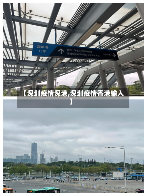 【深圳疫情深港,深圳疫情香港输入】-第3张图片