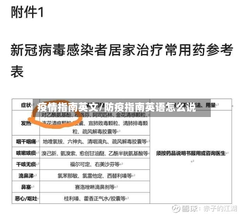 疫情指南英文/防疫指南英语怎么说