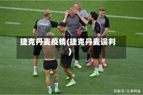 捷克丹麦疫情(捷克丹麦误判)-第2张图片