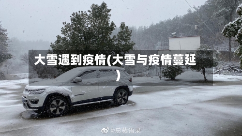 大雪遇到疫情(大雪与疫情蔓延)-第2张图片
