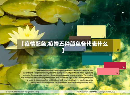 【疫情配色,疫情五种颜色各代表什么】-第2张图片