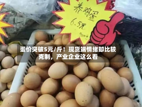 蛋价突破5元/斤！现货端情绪却比较克制，产业企业这么看