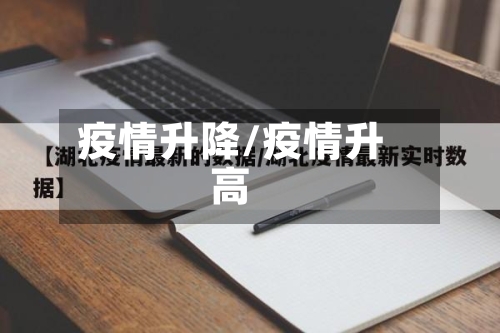 疫情升降/疫情升高-第2张图片