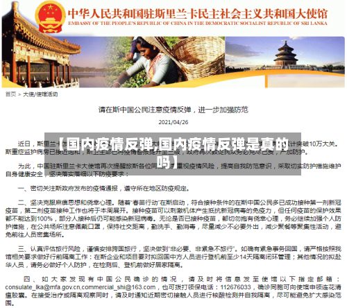 【国内疫情反弹,国内疫情反弹是真的吗】-第2张图片